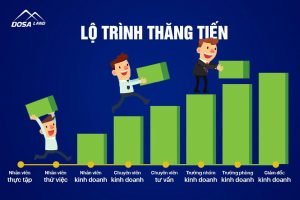 Lộ trình thăng tiến P. Kinh doanh